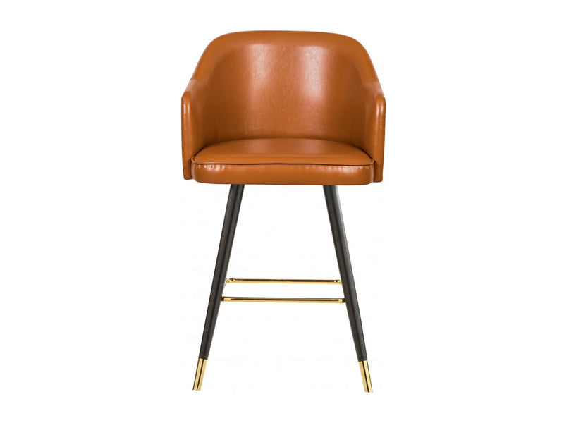 Barbosa Faux Leather Bar Stool (Set of 2)