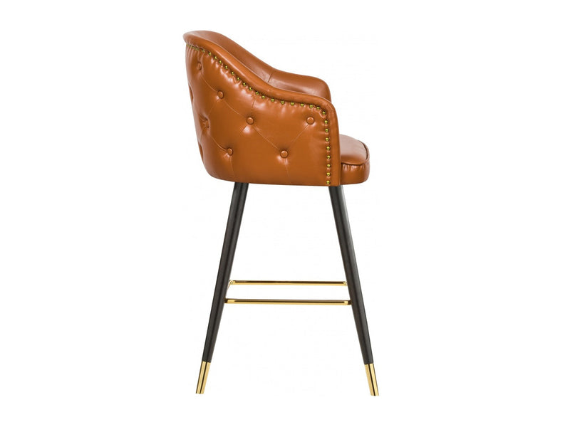 Barbosa Faux Leather Bar Stool (Set of 2)